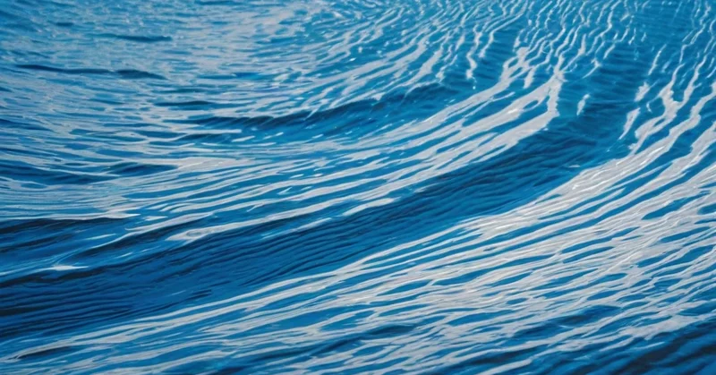 子供の脳発達に効く栄養素は？栄養認知神経科学の最新論文を家族目線で読む