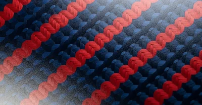 タンパク質の最適摂取量は体重1kgあたり何g？効果サイズで検証した結論