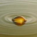 歯周病の補助療法、プロバイオティクスとオメガ3で歯茎ケアを習慣化