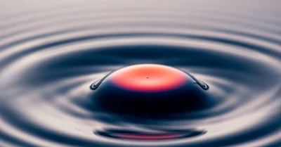 ペスコ・ベジタリアン vs 完全菜食、寿命への効果サイズを7万人コホートで検証