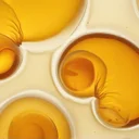 腸-関節軸って本当？酪酸菌ポストバイオティクスRCTの正直な結果と私の結論