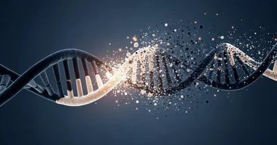 家族のタンパク質目標、体重×1.5gを和食ベースの献立で達成する方法