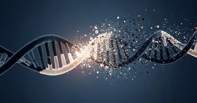 家族のタンパク質目標、体重×1.5gを和食ベースの献立で達成する方法