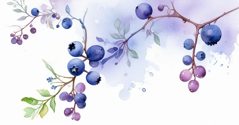 プテロスチルベンはレスベラトロールの上位互換か。吸収率の差をヒトで読む