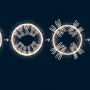 レスベラトロールの効果サイズ、7本のメタアナで何に効いて何に効かないかを検証