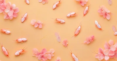 桜エビのカルシウムとキチン質、吸収率と健康効果を論文で検証する