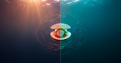 帆立は栄養豊富だけど高すぎるのか？タウリンとコスパを詳しく検証