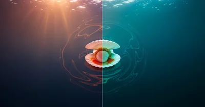 帆立は栄養豊富だけど高すぎるのか？タウリンとコスパを詳しく検証