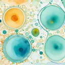 免疫老化は男女で同じではない。Nat Aging二連報が示した単一細胞レベルの分岐点