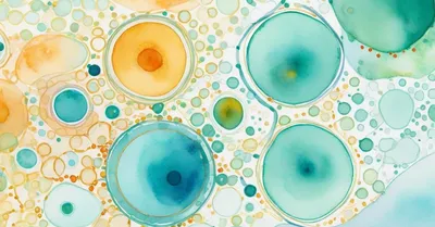 免疫老化は男女で同じではない。Nat Aging二連報が示した単一細胞レベルの分岐点