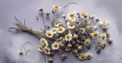 カモミールティーとエプソムソルトで作る、私の続けられる睡眠習慣