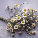 カモミールティーとエプソムソルトで作る、私の続けられる睡眠習慣