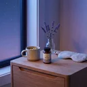 睡眠サプリおすすめ5選【グリシン・テアニン・マグネシウム】2026年最新版