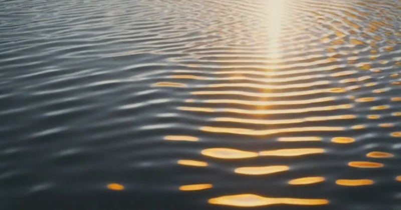 1日5分の運動で死亡リスク10%減少、Lancetメタアナリシスの効果サイズ