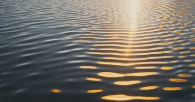 1日5分の運動で死亡リスク10%減少、Lancetメタアナリシスの効果サイズ