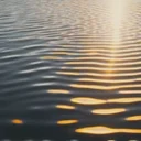 1日5分の運動で死亡リスク10%減少、Lancetメタアナリシスの効果サイズ