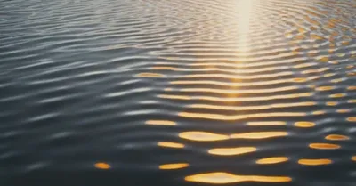 1日5分の運動で死亡リスク10%減少、Lancetメタアナリシスの効果サイズ