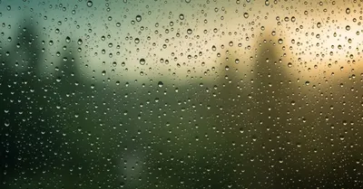 「つながり」の効果サイズ、孤独が死亡リスクを34%上げるという研究