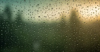 「つながり」の効果サイズ、孤独が死亡リスクを34%上げるという研究