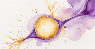 スペルミジンはなぜ断食効果の必須分子なのか。2024年Natureを論文で読む
