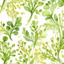 モリンガパウダーに鉛リスク？Rhonda Patrickが中止した理由と代替案