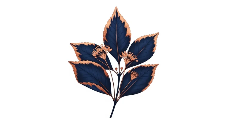 サプリの飲み合わせNG一覧｜薬との危険な組み合わせをエビデンスで解説