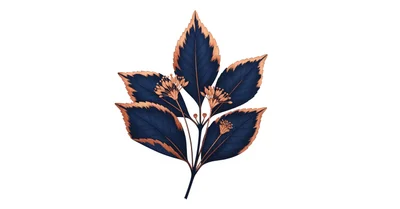 サプリの飲み合わせNG一覧｜薬との危険な組み合わせをエビデンスで解説