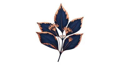 サプリの飲み合わせNG一覧｜薬との危険な組み合わせをエビデンスで解説