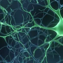 Tummo瞑想とヨガで脳活動が変わる？アルファ波を増やす呼吸法の研究を読む