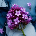 バレリアンは本当に眠れる？睡眠ハーブの効果・副作用・使い方ガイド