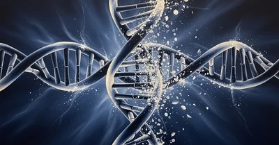 マヌカハニー、ギー、ホールフード系マルチ、エビデンス弱いけど私が選ぶ理由