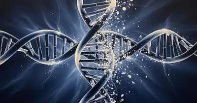 マヌカハニー、ギー、ホールフード系マルチ、エビデンス弱いけど私が選ぶ理由