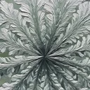 亜鉛で風邪予防はできない。2024年コクランレビューが出した明確な結論